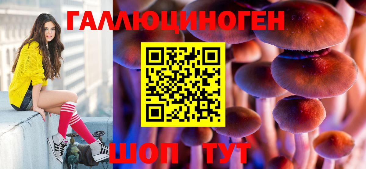 Пугачёв  Псилоцибиновые грибы мухоморы  Вход с VPN 